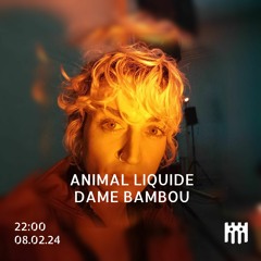 Animal Liquide - Dame Bambou [08.02.24]