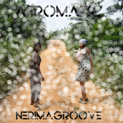"AFROMATIC" - Livemix by Nerima Groove