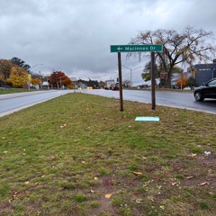 Bandaids - Cyberdolphin Mix