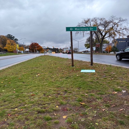 Bandaids - Cyberdolphin Mix