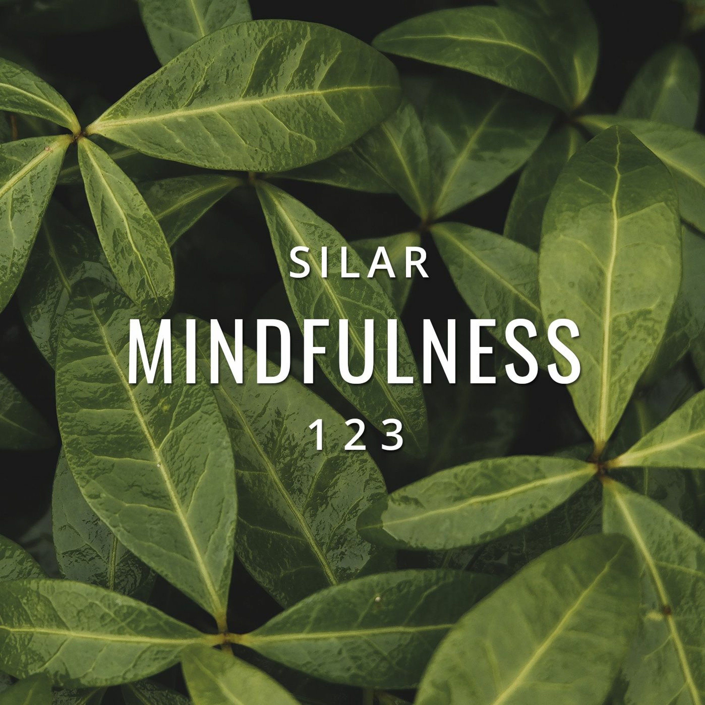 Mindfulness
