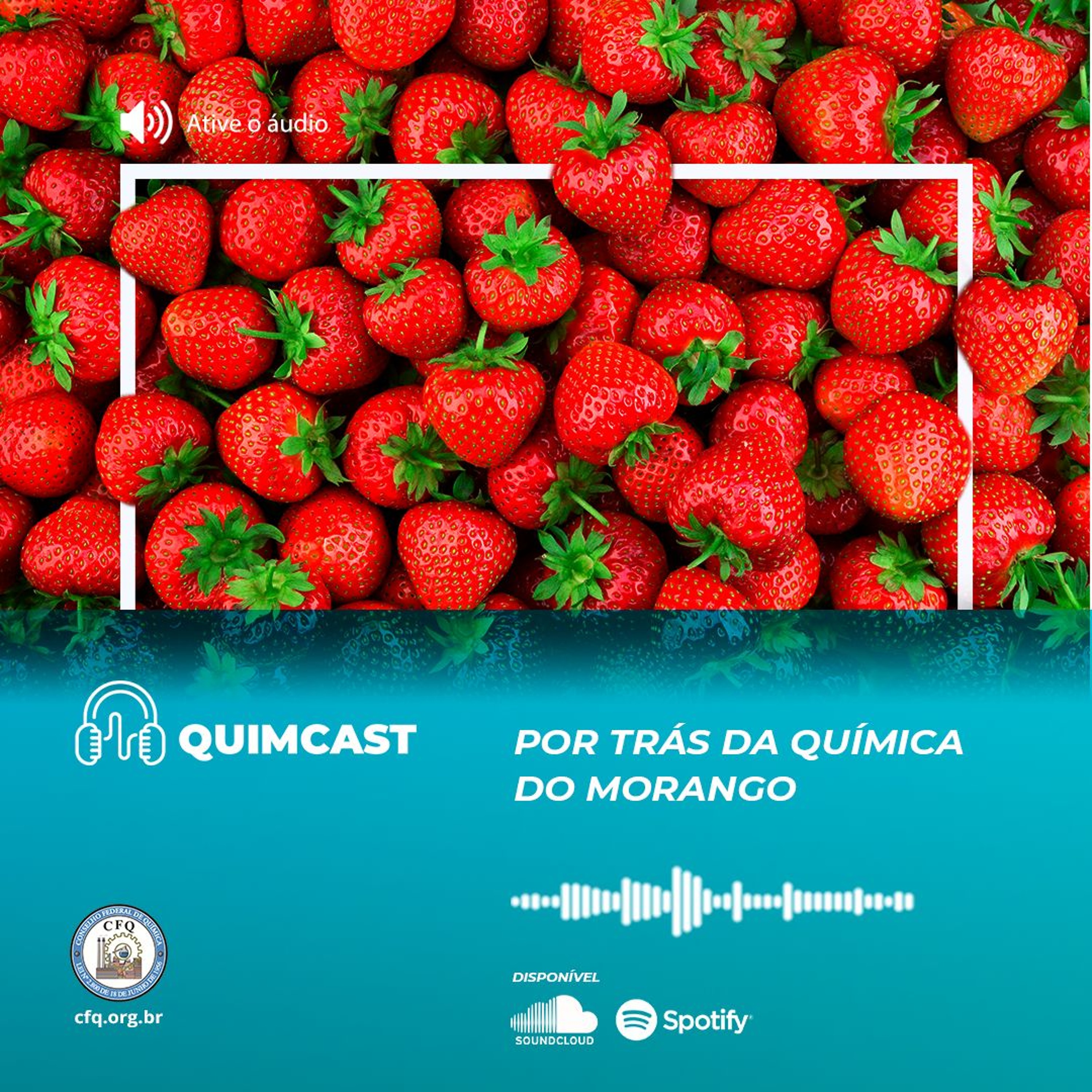 QuimCast