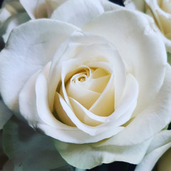 Elegy For My Father