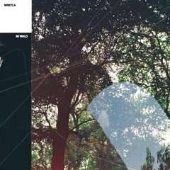 Im Wald [all my thoughts]