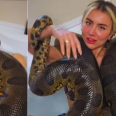 Original full new one girl one anaconda video link ruby and anaconda video update