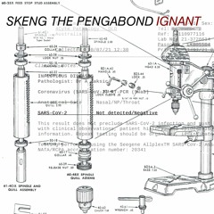 SKENG THE PENGABOND - IGNANT