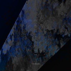 Thirty Echoes - Tim Boulie