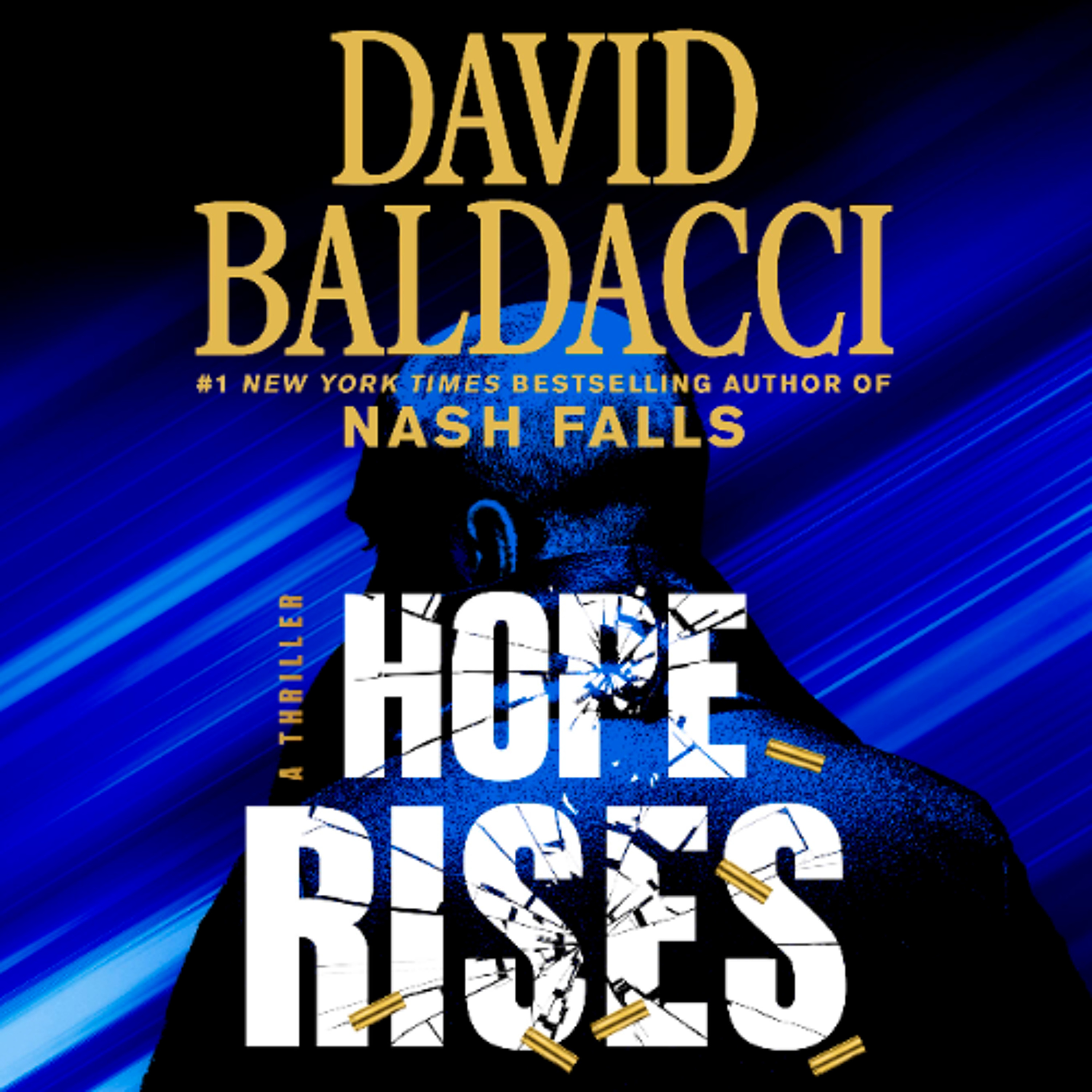 Hope Rises by David Baldacci Read by MacLeod Andrews, Will Collyer, Shiromi Arserio, Christine Lakin, Larry Herron, and Tim Lounibos
