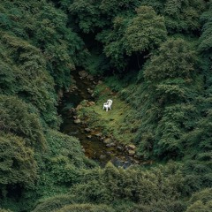 CHỨNG KHOÁN (prodbystone)