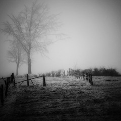 Poisonoise X Michael Ferne - The Grand Archives #30 (Exhibitions at Night)