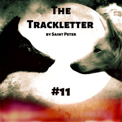 Saint Peter - The Trackletter #11 (Night)