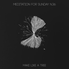 Meditation for Sunday n.36