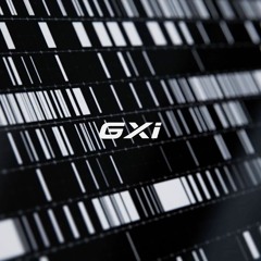 GXi - 2.0