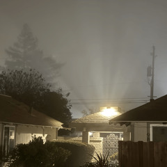 Love Surge Can Be Felt In The Fog