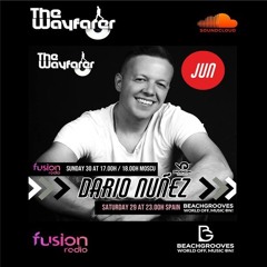 THE WAYFARER RADIOSHOW #63 - GUEST MIX DARIO NUÑEZ (INGENIUM BOOKINGS)