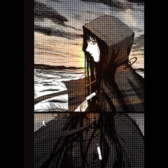 shadows©
