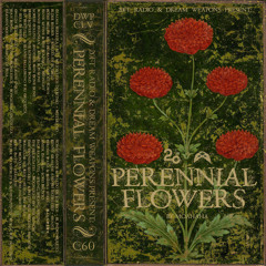 Dream Weapons: Perennial Flowers @ 20ft Radio - 05/03/2021