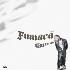Mugas - Fumaça Quente