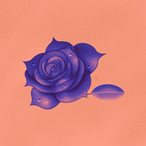 Rose d kush