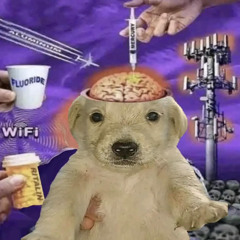 BRAIN FLOURIDE