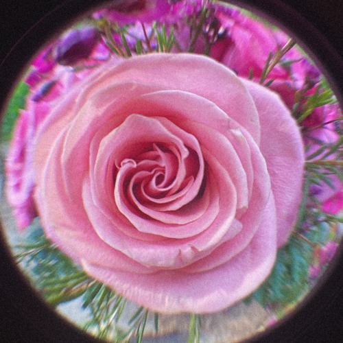 on the rolled vol7 [live_5.2021]