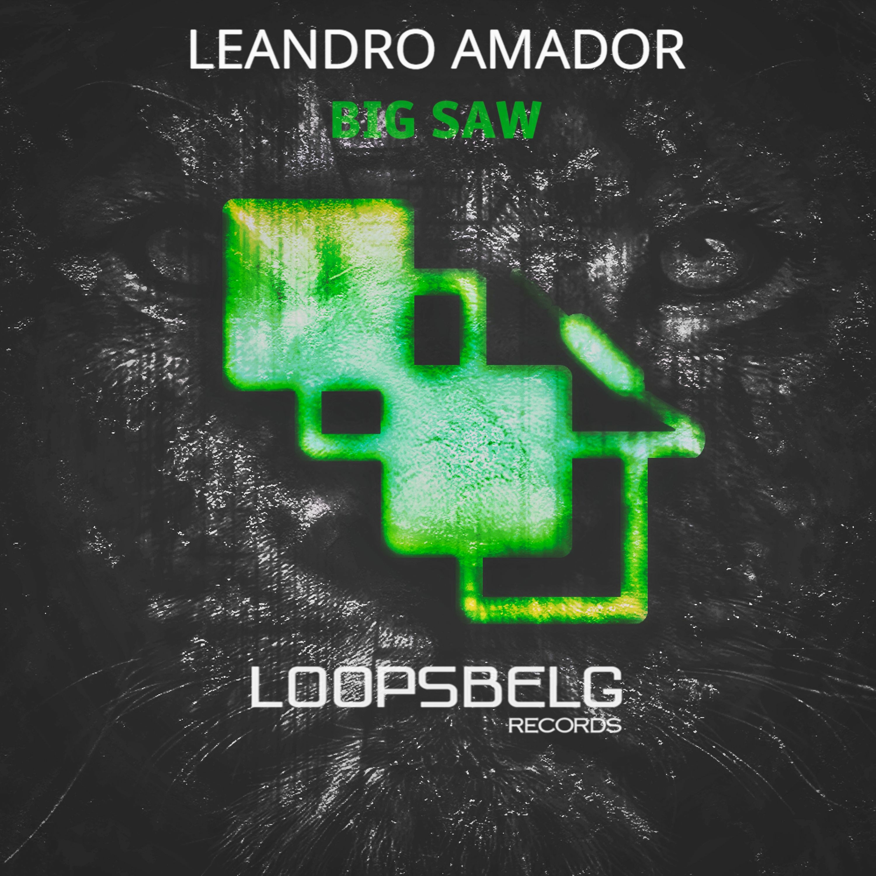 Leandro Amador