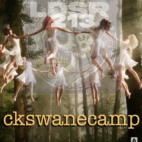 LDSR 213 - ckswanecamp