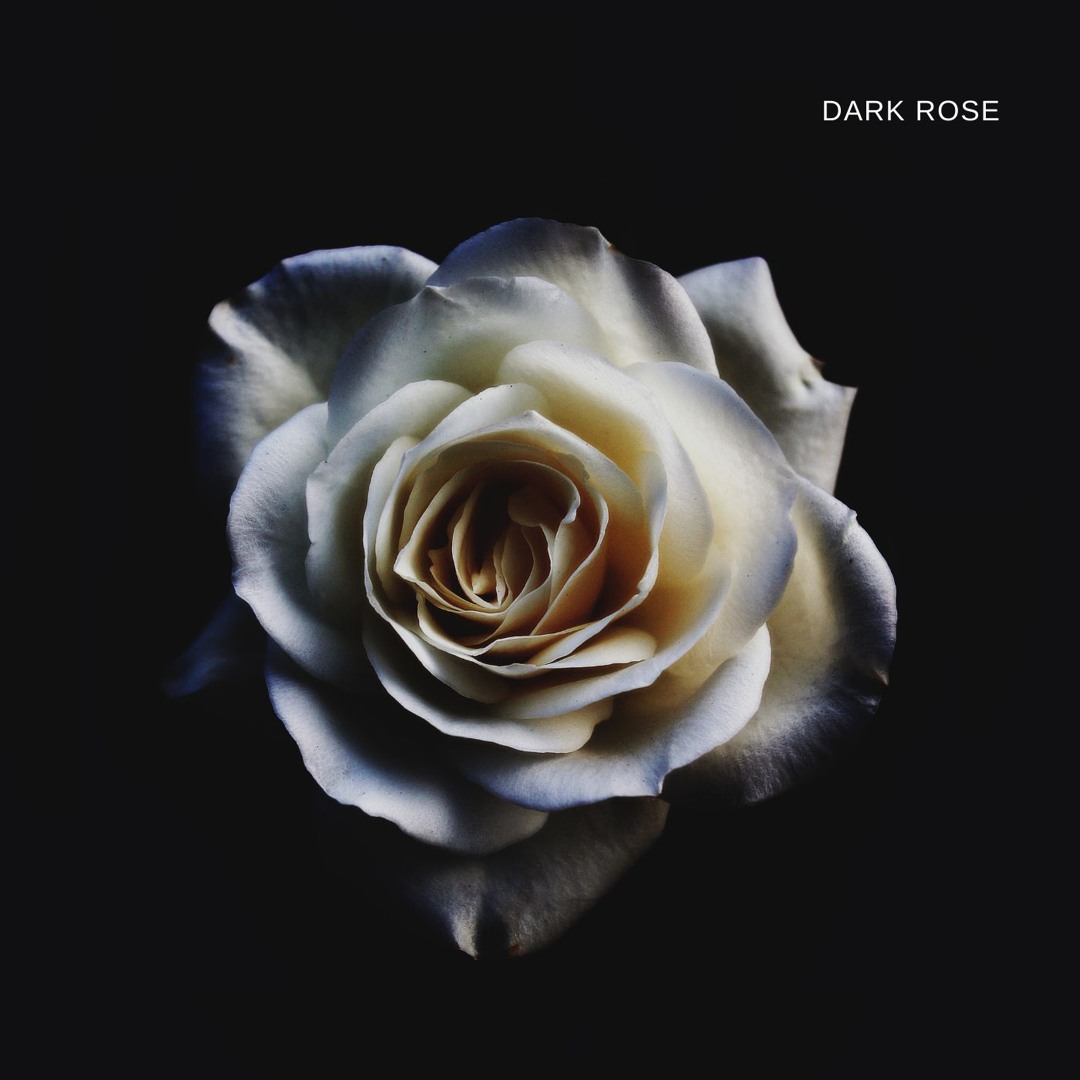 Dark Roses Cover Stream Queen Beats | Listen to Dark Rose Album playlist online for free ...