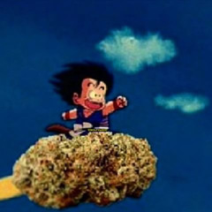 BOOF SAIYAN (( @WWWorldReset ))