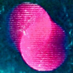 °• Windstar •°