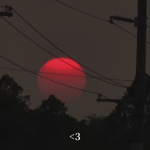 pink sun & power lines