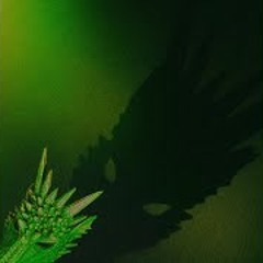 Silvester Belt - Tyliai Tyliai