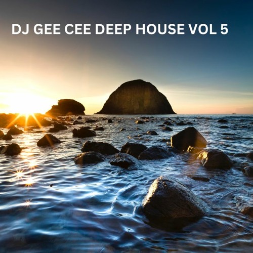 DEEP HOUSE MIX VOL VOL 5
