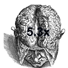 5.3x