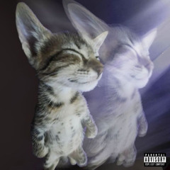 dont talk (prod.midigital)