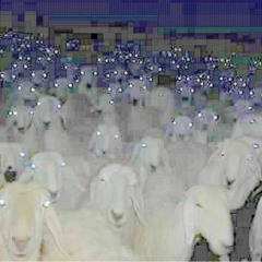 ‎‏‏‎ ‎‏‏‎ ‎‏‏‎ ‎‏‏‎ ‎‏‏‎ ‎‏‏‎ ‎‏‏‎ ‎‏‏‎ ‎‏‏‎ ‎‏‏‎evidence