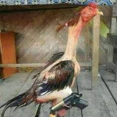 nathan glocks - got the drop (dettoh)