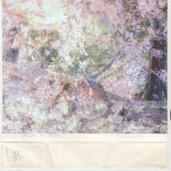 snowbirds (ft. qody)