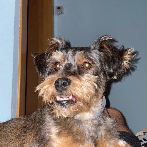 Hard Tech-Industrial DEMO