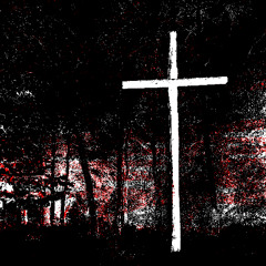 BIPP_REFLIP_DEMO_030925