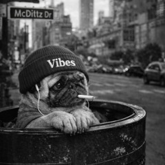 InstuhMash - The Unforgettable Rosa Parks (McDittzed)