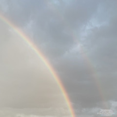 'solar man' by shy forever