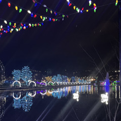 Timiro Bidari Alokh Bihari -Nazrul Sangeet (COVER)