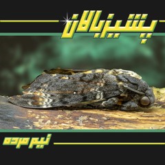 Skippers - Half Dead | پشیزبالان - نیم مرده