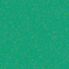 /morning Improv - Session 6 (Rec 0179)