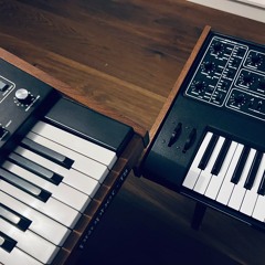 The Eyes of Olivia Wilde - En sorgens tid (nymix)