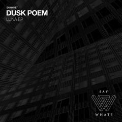 PREMIERE: Dusk Poem - Luna [Say What?]
