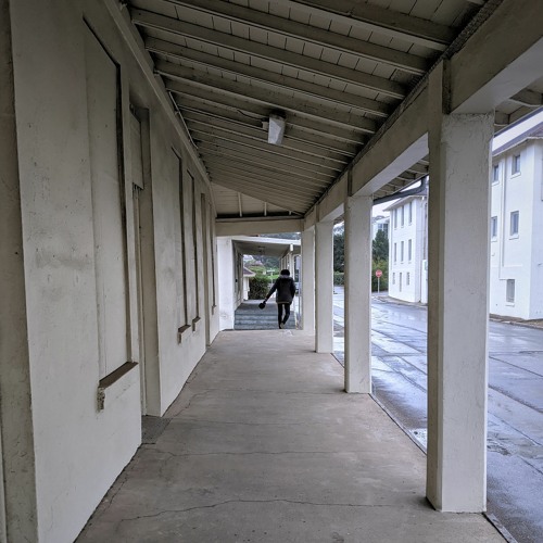 bare knuckle brawler