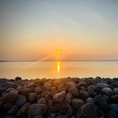 Daydreams of Days Passed