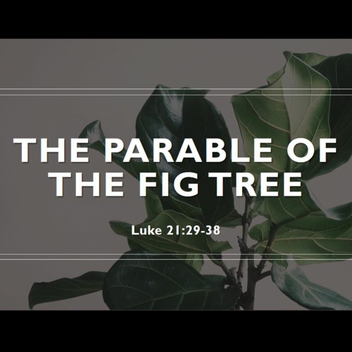 Stream The Parable Of The Fig Tree By CPPC English Listen Online For stream-the-parable-of-the-fig-tree-by-cppc-english-listen-online-for